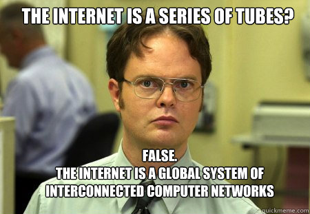 The internet is a series of tubes? False. The internet is a global system of interconnected computer networks.