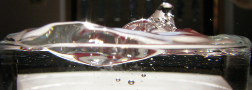 lateral view of surface of water, interrupted by a drop of water being dropped into the water.