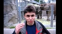 Man standing in front of elephant enclosure.